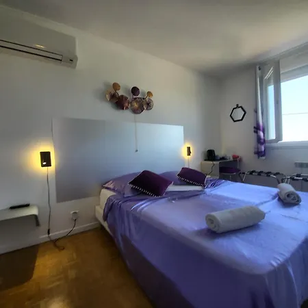 Pour Groupe Climatise, Parking, Jardin Proche Toulouse, Airbus, Meett Et Aeroport * Aussonne