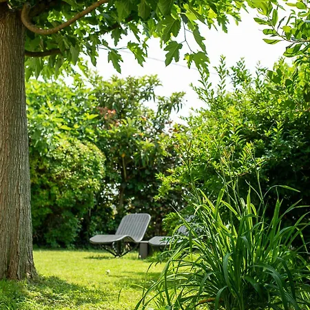 Pour Groupe Climatise, Parking, Jardin Proche Toulouse, Airbus, Meett Et Aeroport *